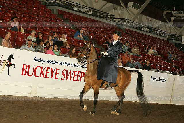 Proof 06buckeye_1473