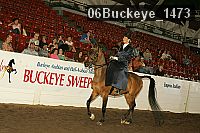06buckeye_1473 proof