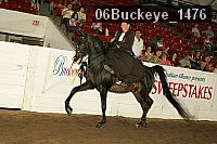 06buckeye_1476 proof