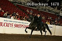06buckeye_1478 proof