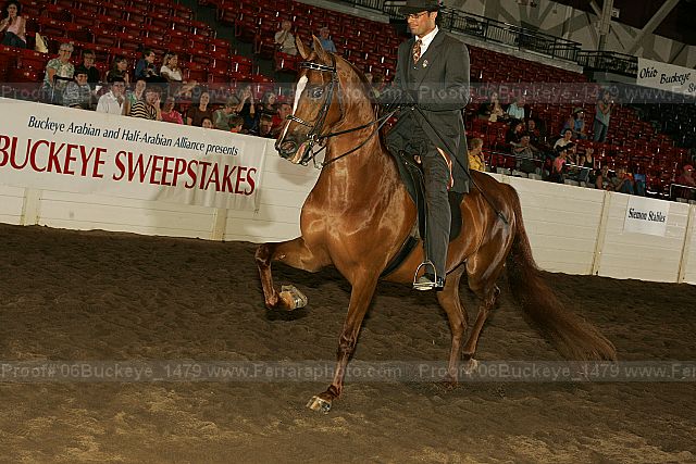 Proof 06buckeye_1479