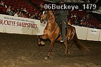 06buckeye_1479 proof