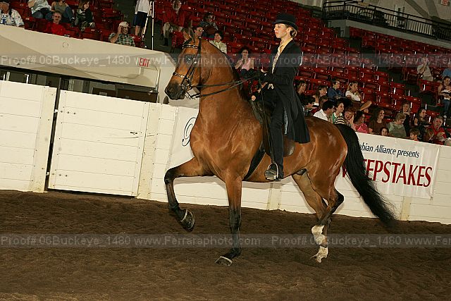 Proof 06buckeye_1480