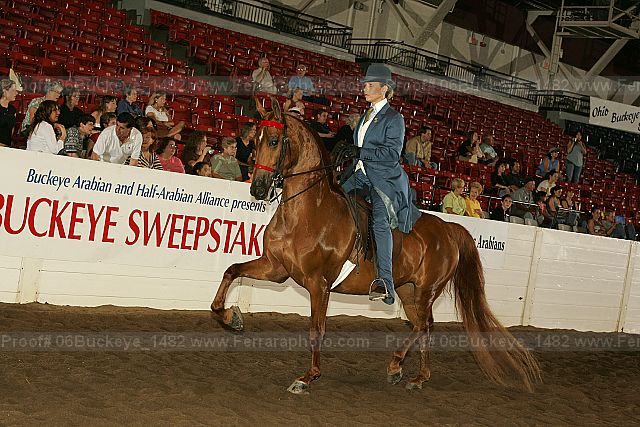 Proof 06buckeye_1482