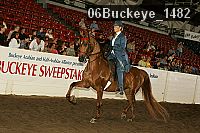 06buckeye_1482 proof