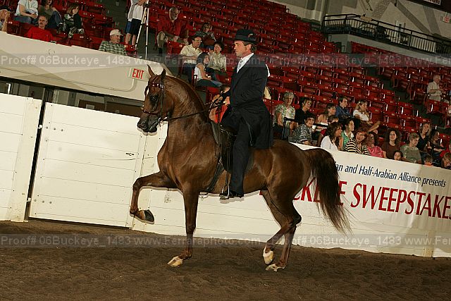 Proof 06buckeye_1483