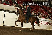 06buckeye_1483 proof