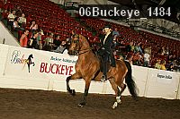 06buckeye_1484 proof
