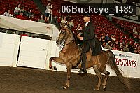 06buckeye_1485 proof