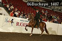 06buckeye_1487 proof