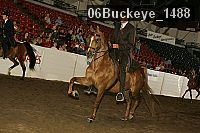 06buckeye_1488 proof