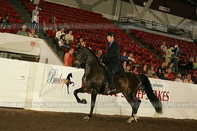 Proof 06buckeye_1489