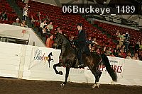 06buckeye_1489 proof