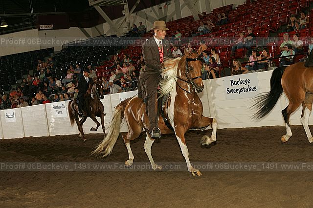 Proof 06buckeye_1491