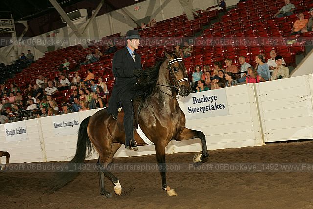 Proof 06buckeye_1492