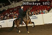 06buckeye_1492 proof