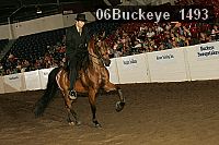 06buckeye_1493 proof