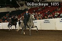 06buckeye_1495 proof