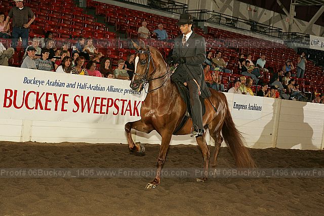 Proof 06buckeye_1496