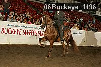 06buckeye_1496 proof