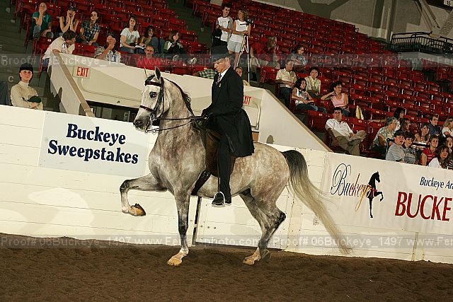Proof 06buckeye_1497