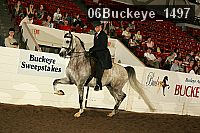 06buckeye_1497 proof
