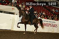 06buckeye_1498 proof