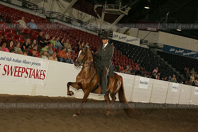 Proof 06buckeye_1499