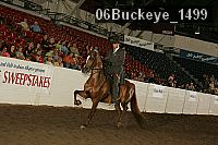 06buckeye_1499 proof