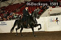 06buckeye_1501 proof
