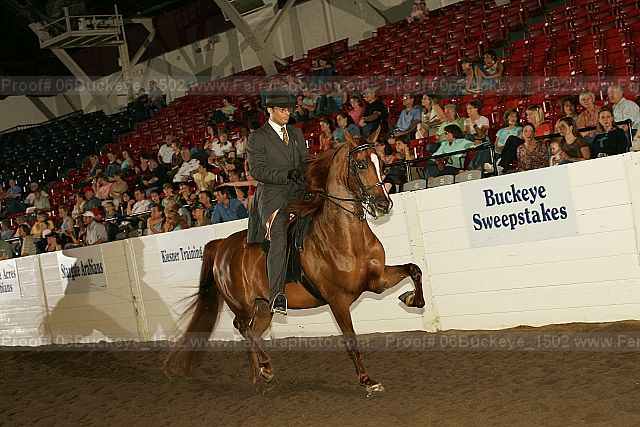 Proof 06buckeye_1502