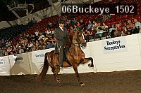 06buckeye_1502 proof