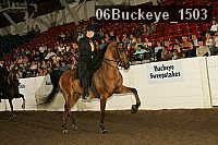 06buckeye_1503 proof