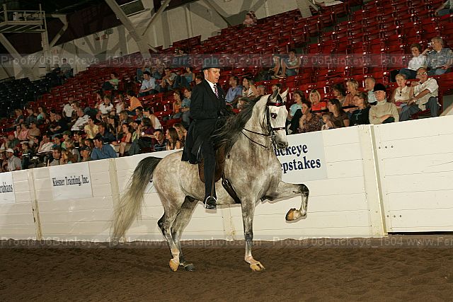 Proof 06buckeye_1504
