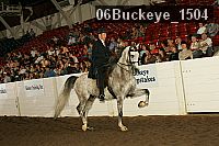06buckeye_1504 proof