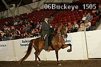 06buckeye_1505 proof