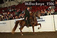 06buckeye_1506 proof