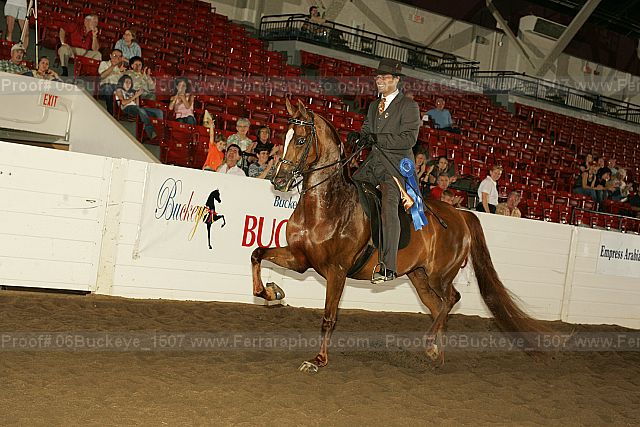Proof 06buckeye_1507