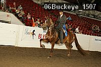 06buckeye_1507 proof