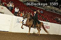 06buckeye_1509 proof
