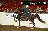 06buckeye_1528 proof