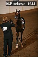 06buckeye_1544 proof