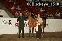 06buckeye_1548 proof