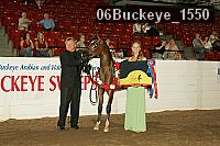 06buckeye_1550 proof