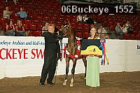06buckeye_1552 proof