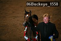 06buckeye_1558 proof