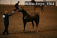 06buckeye_1564 proof