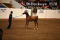 06buckeye_1570 proof