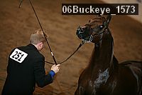 06buckeye_1573 proof
