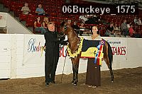 06buckeye_1575 proof